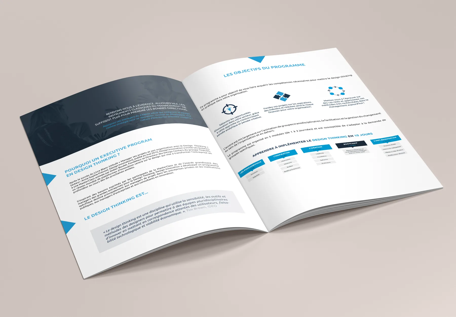 Design Innovation Executive Program, brochure : Le programme